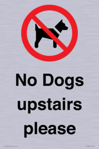 No Dogs upstairs please 